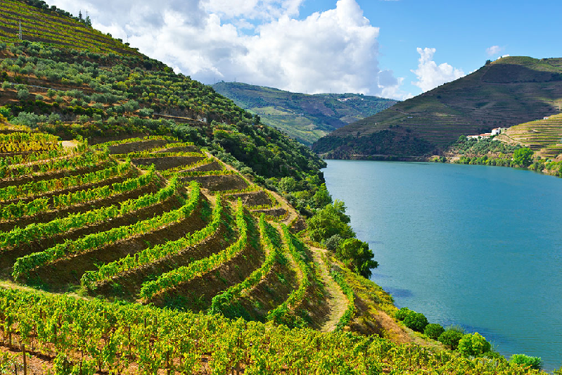 Small Groups & Private Tours Porto